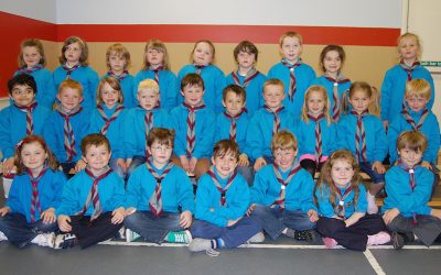 Meet our new Beaver Scouts